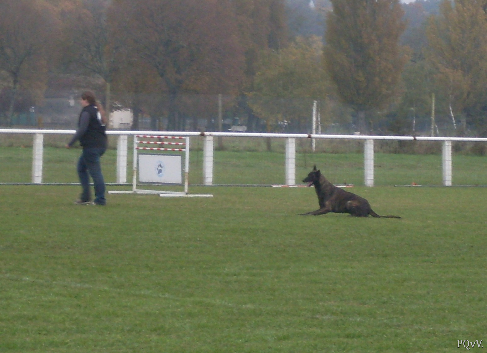  Eros des Crocs d’Olympe